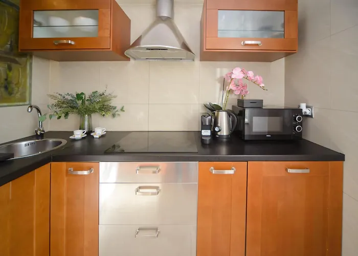 Maya's Flats & 47 - Heweliusza アパート