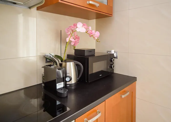 Maya's Flats & 47 - Heweliusza Lejlighed *